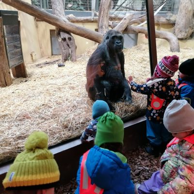 Zoo Ausflug (3)